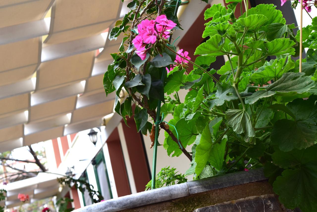 Cozy Residences In The Center Of Volissos Village - Lydia Lithos- Exterior foto